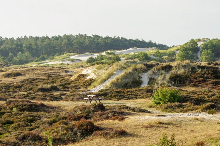 Het Klimduin bij Schoorl. Het is gratis en zeer in trek bij goed weer. Verkijk je echter niet op de klim en het zand.