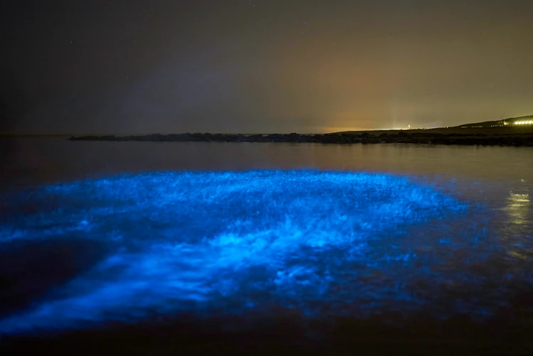 Als je overdag een oranjerode kleur in het water ziet, heb je vaak zeevonk die nacht.