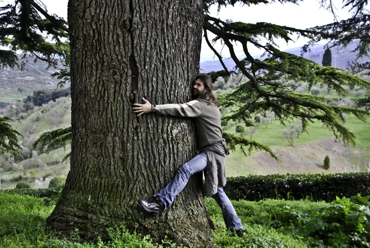 Bomen knuffelen zou helpen tegen stress. Ook voelen mensen dan een sterke verbinding met de natuur.