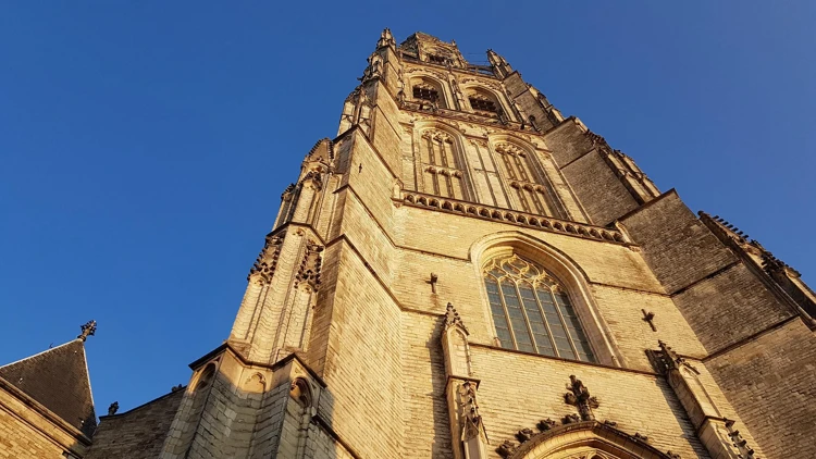 De Grote Kerk van Breda, jeetje wat hoog!