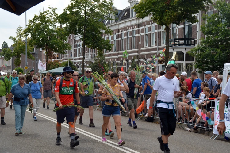 Op de laatste dag krijgen de wandelaars gladiolen. Deze bloem is een teken van kracht en overwinning.