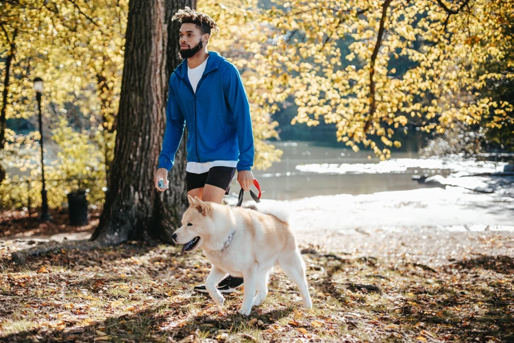 Iedere dag wandelen is goed voor je!