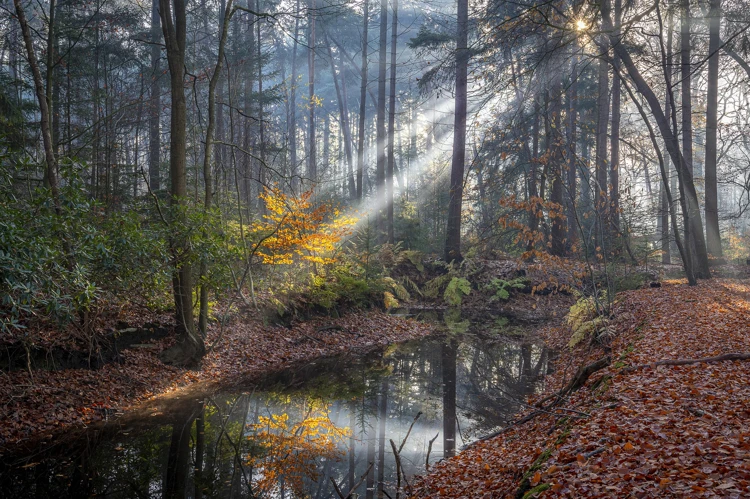 Maak jij de winnende herfstfoto?