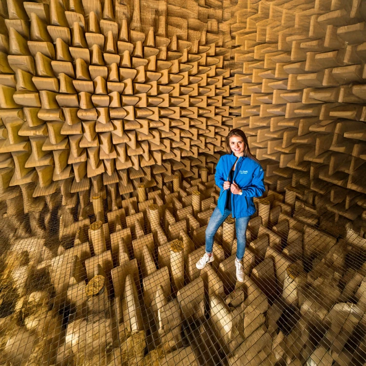 Dat een stilte écht oorverdovend kan zijn, kan je ondervinden in de stille kamer van de Technische Universiteit Delft.