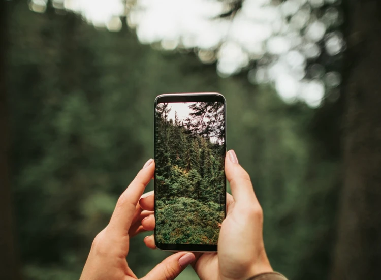 Dieren en planten herkennen met de app ObsIdentify