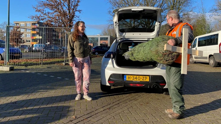 Koop in december een mooie kerstboom bij de medewerkers van Bosgroep Pijnenburg.