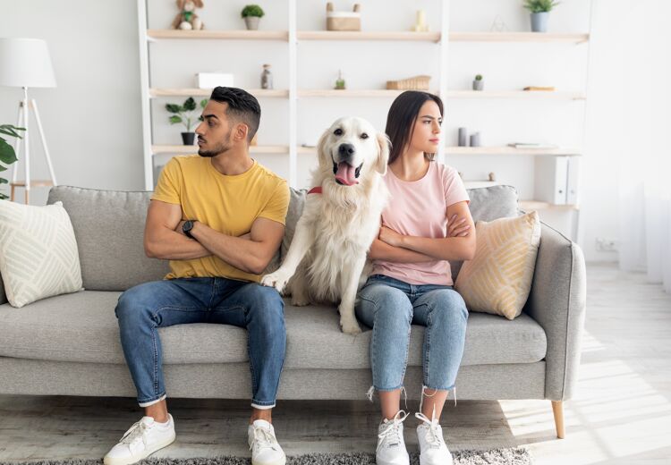 In Spanje worden huisdieren als gezinslid gezien.