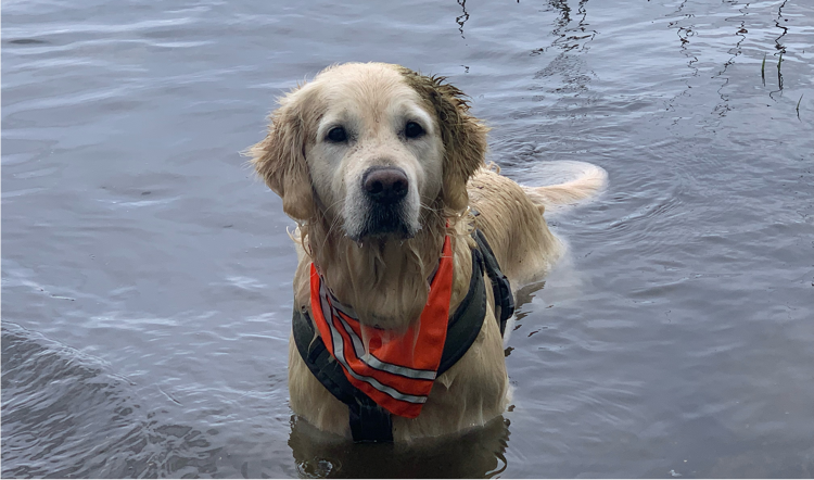 De trouwe viervoeter van de familie van Daniëlle.
