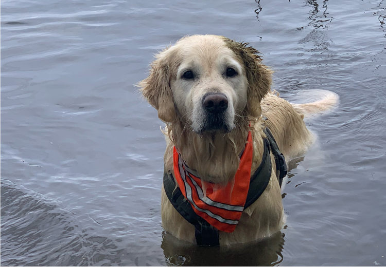 De trouwe viervoeter van de familie van Daniëlle.