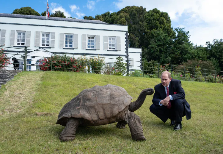 Prins Edward ontmoet Jonathan, de oudste levende landschildpad ter wereld, op het eiland Sint-Helena.