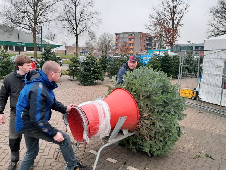 Koop in december een mooie kerstboom bij de medewerkers van Bosgroep Pijnenburg.