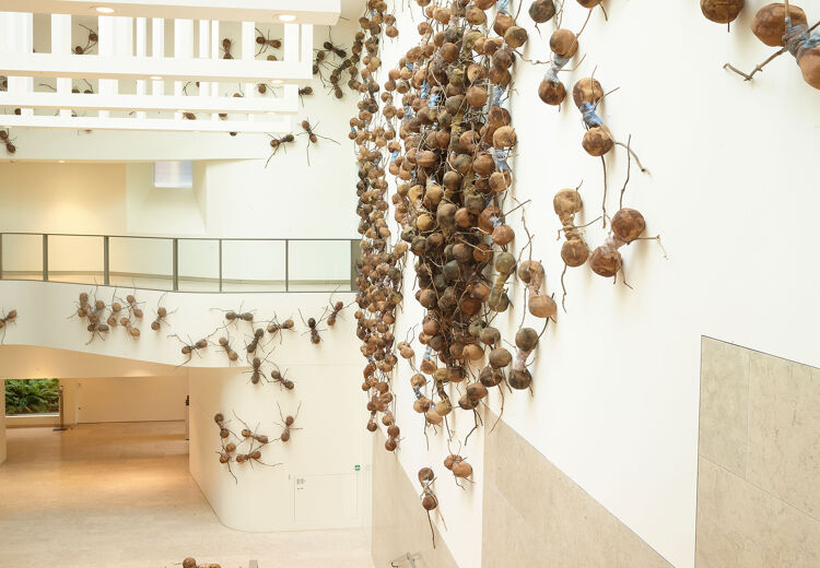 Rafael Gomezbarros, Casa Tomada, Rijksmuseum