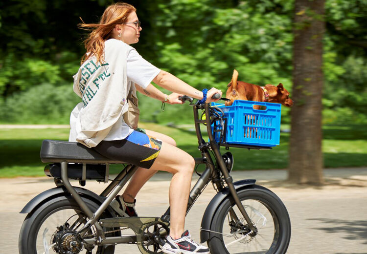 De fatbike is in de jaren 80 uitgevonden in Alaska. Zo konden ze beter door sneeuw, kuilen en modder rijden.