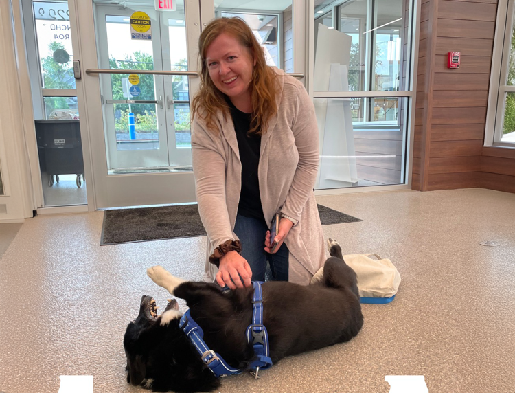 Hond Opie verdween in Californië en werd maanden later teruggevonden in Chicago dankzij zijn chip.