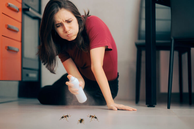 Je kunt mieren wegspuiten met een mengsel van azijn en water, want de geur verjaagt ze en wist hun geurspoor.