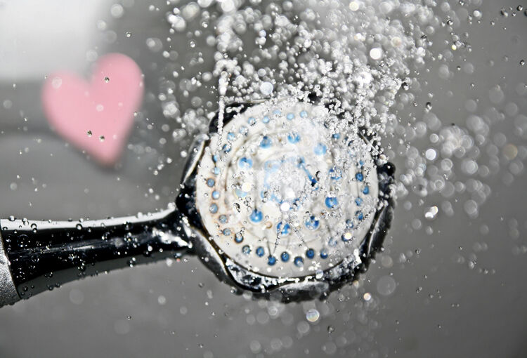 De douchekop is wereldwijd het populairste 'thuisspeeltje'.