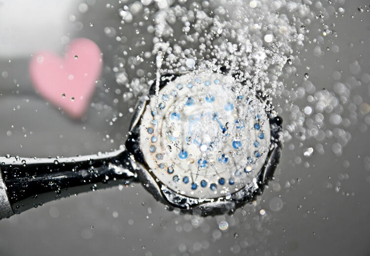 De douchekop is wereldwijd het populairste 'thuisspeeltje'.