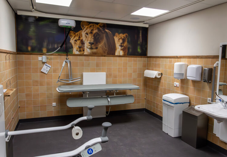 Het project is een samenwerking van dierenpark Beekse Bergen, Stichting het Gehandicapte Kind en Joint Projects.