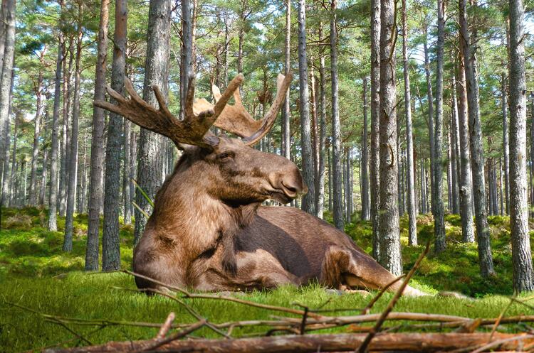 Een rustige vakantie met natuur en tijd voor jezelf kan heerlijk zijn.