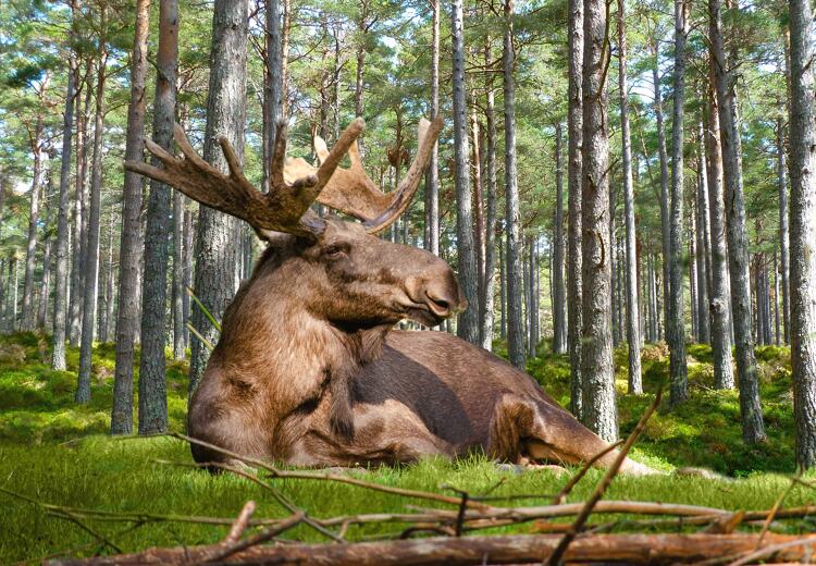 Een rustige vakantie met natuur en tijd voor jezelf kan heerlijk zijn.