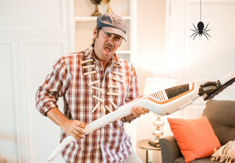 Hoe meer insecten in je huis of in je tuin, hoe meer spinnen.