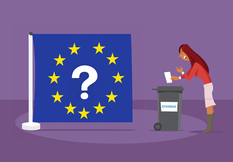 Het Europees Parlement maakt samen met de Raad van de Europese Unie de wetten in de EU.