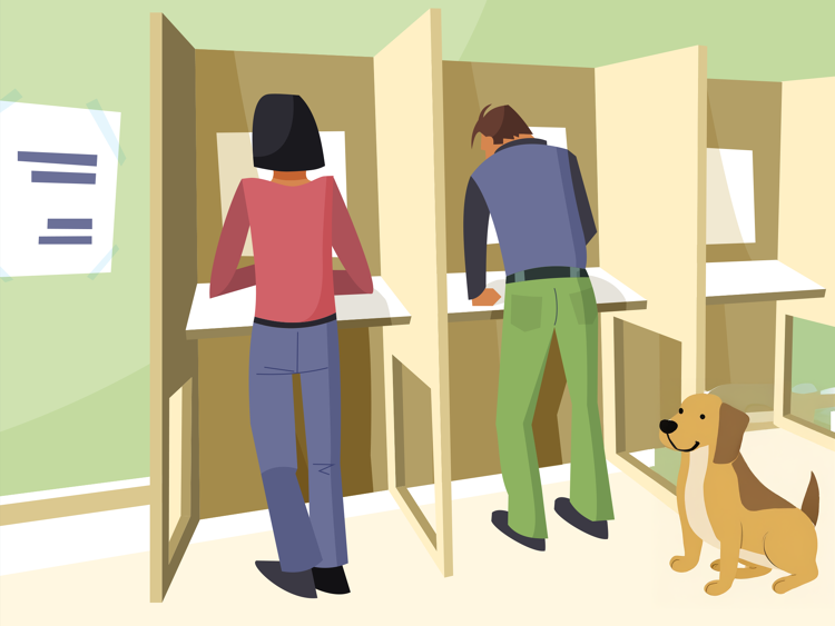 De Partij voor de Dieren zit niet alleen in Nederland in de politiek, maar ook in het Europees Parlement.