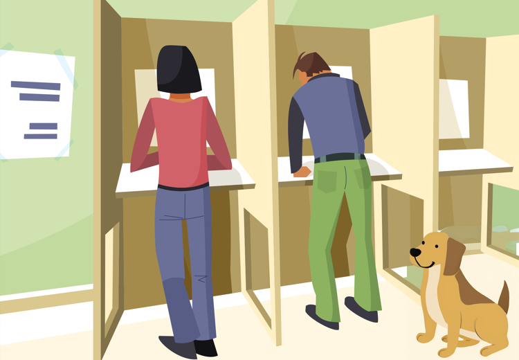 De Partij voor de Dieren zit niet alleen in Nederland in de politiek, maar ook in het Europees Parlement.