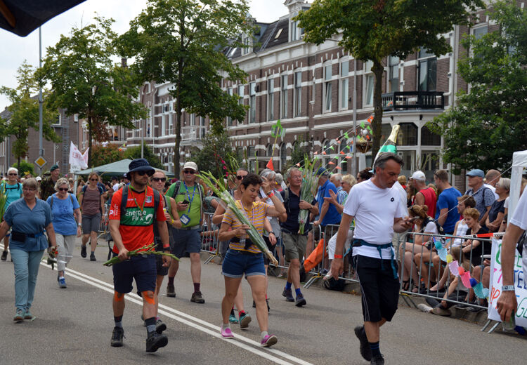 Op de laatste dag krijgen de wandelaars gladiolen. Deze bloem is een teken van kracht en overwinning.