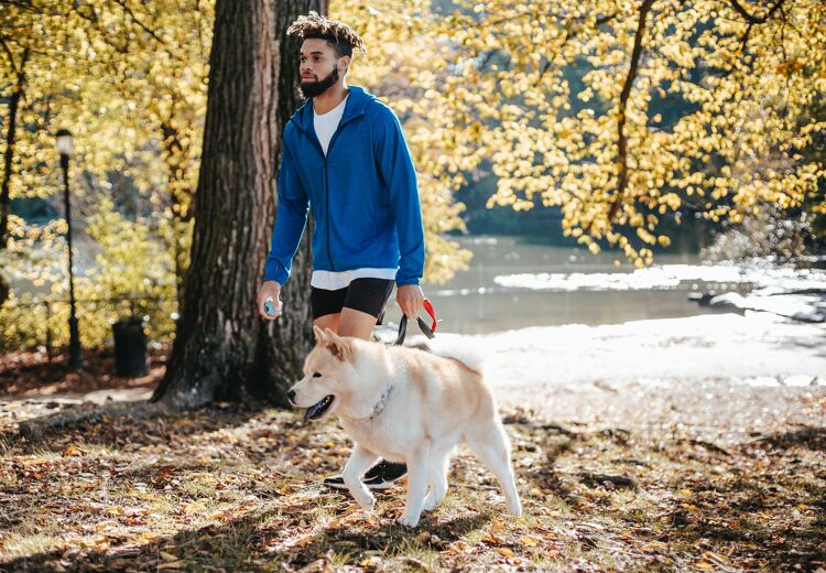 Iedere dag wandelen is goed voor je!