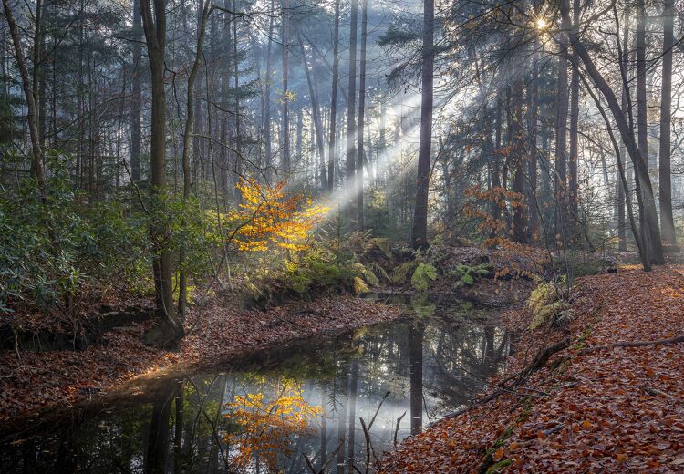 Maak jij de winnende herfstfoto?