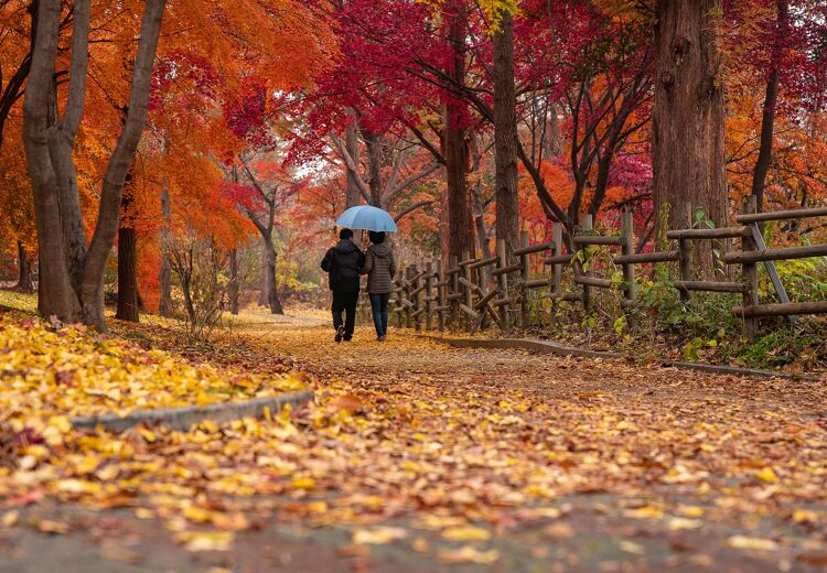 Meer wandelen is een goed voornemen. Veel mensen willen gezonder gaan leven aan het begin van een nieuw jaar.