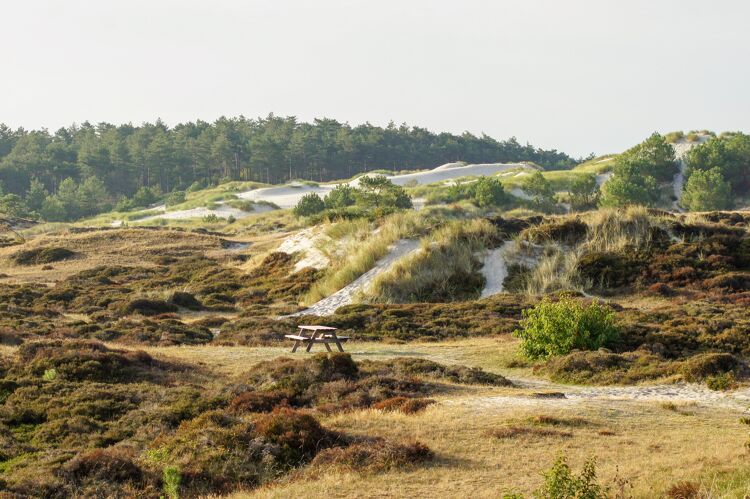 Het Klimduin bij Schoorl. Het is gratis en zeer in trek bij goed weer. Verkijk je echter niet op de klim en het zand.