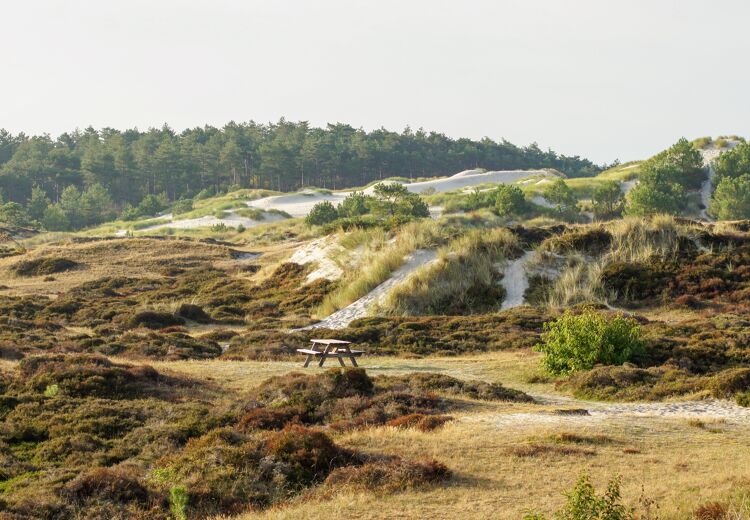 Het Klimduin bij Schoorl. Het is gratis en zeer in trek bij goed weer. Verkijk je echter niet op de klim en het zand.