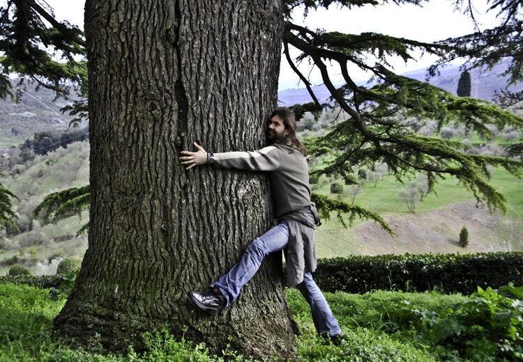 Bomen knuffelen zou helpen tegen stress. Ook voelen mensen dan een sterke verbinding met de natuur.