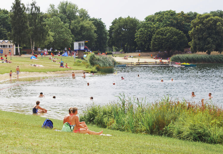 Blauwalg is eigenlijk geen alg, maar een soort bacterie die eruitziet als drijvende verf op het water.