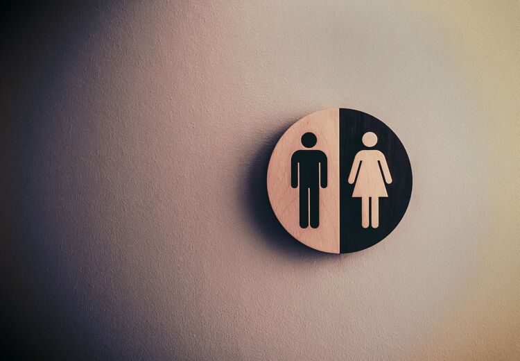 Vaak zijn er aparte wc's voor mannen en vrouwen. Maar thuis hebben we dat niet. Hoe komt dat?