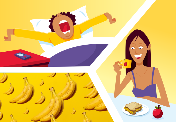 In tegenstelling tot wat de meeste mensen denken, groeien bananen niet aan een boom maar aan een plant