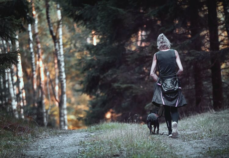 Je kan een wandeling goed combineren met een uitje voor je hond.