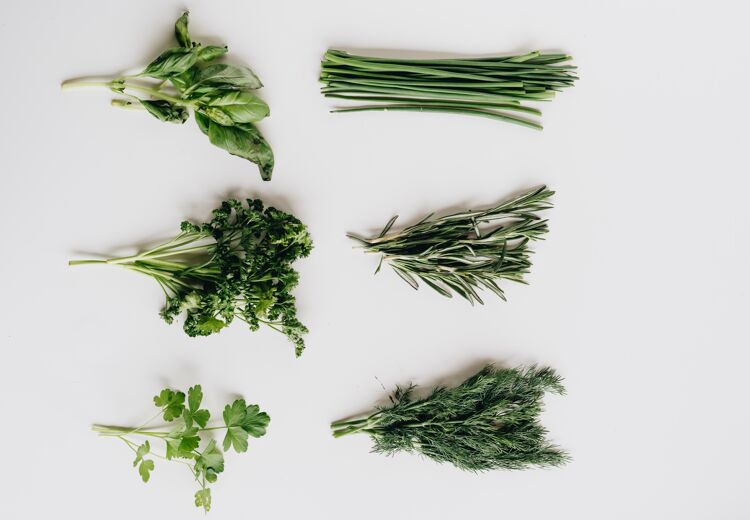 Wist je dit al? Basilicum vindt kou niet fijn en blijft beter vers buiten de koelkast dan erin.