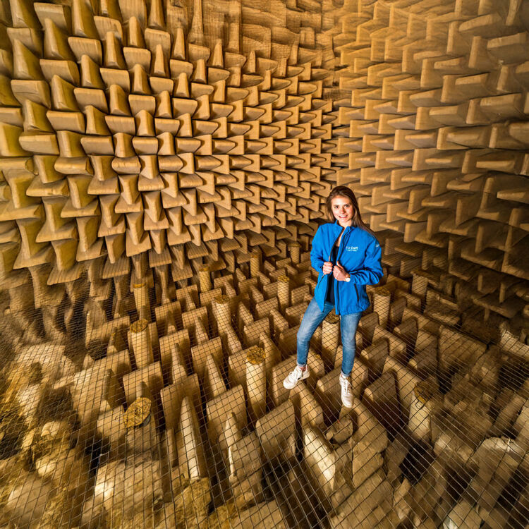 Dat een stilte écht oorverdovend kan zijn, kan je ondervinden in de stille kamer van de Technische Universiteit Delft.