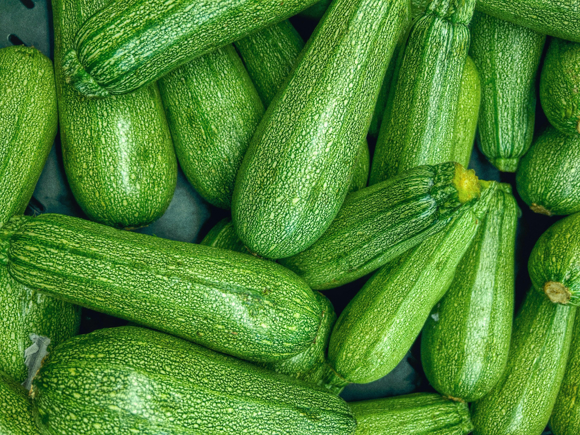 Wist je dat een courgette eigenlijk een jonge pompoen is en zelfs rauw gegeten kan worden als een frisse snack?