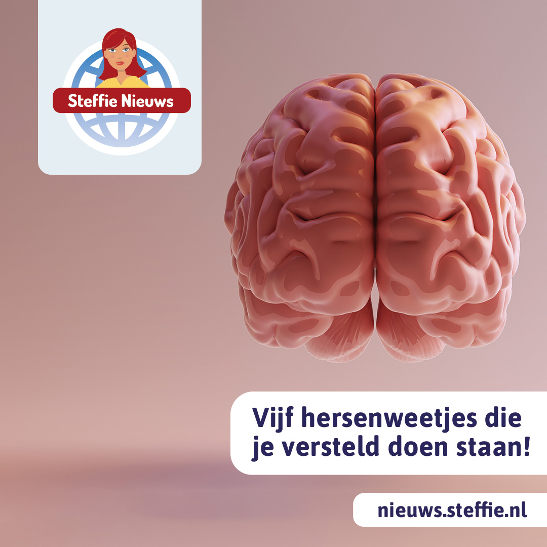 Vijf leuke weetjes over je hersenen!