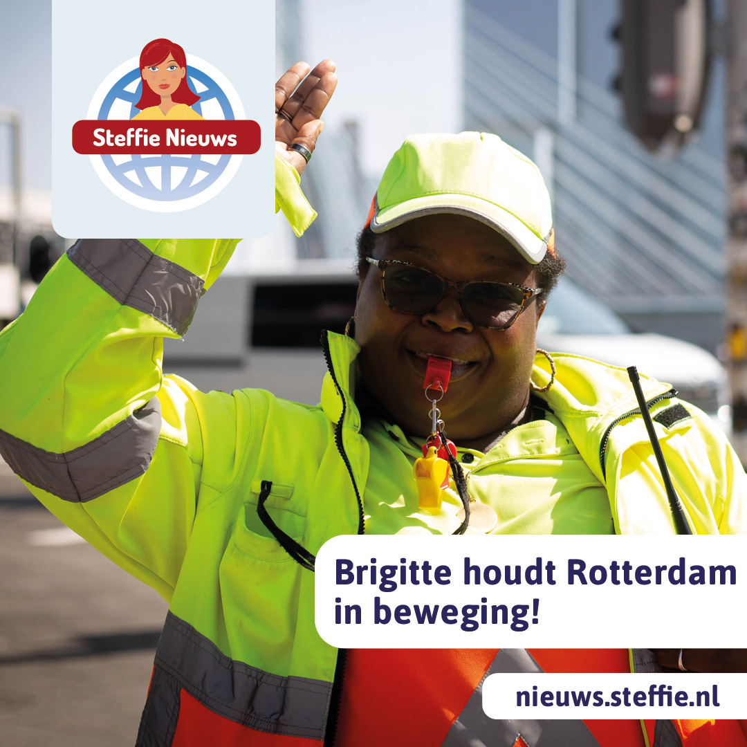 Hoe werkt verkeer regelen?