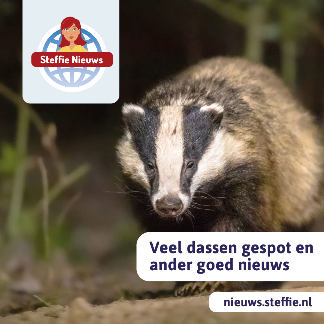 Goed nieuws deze maand