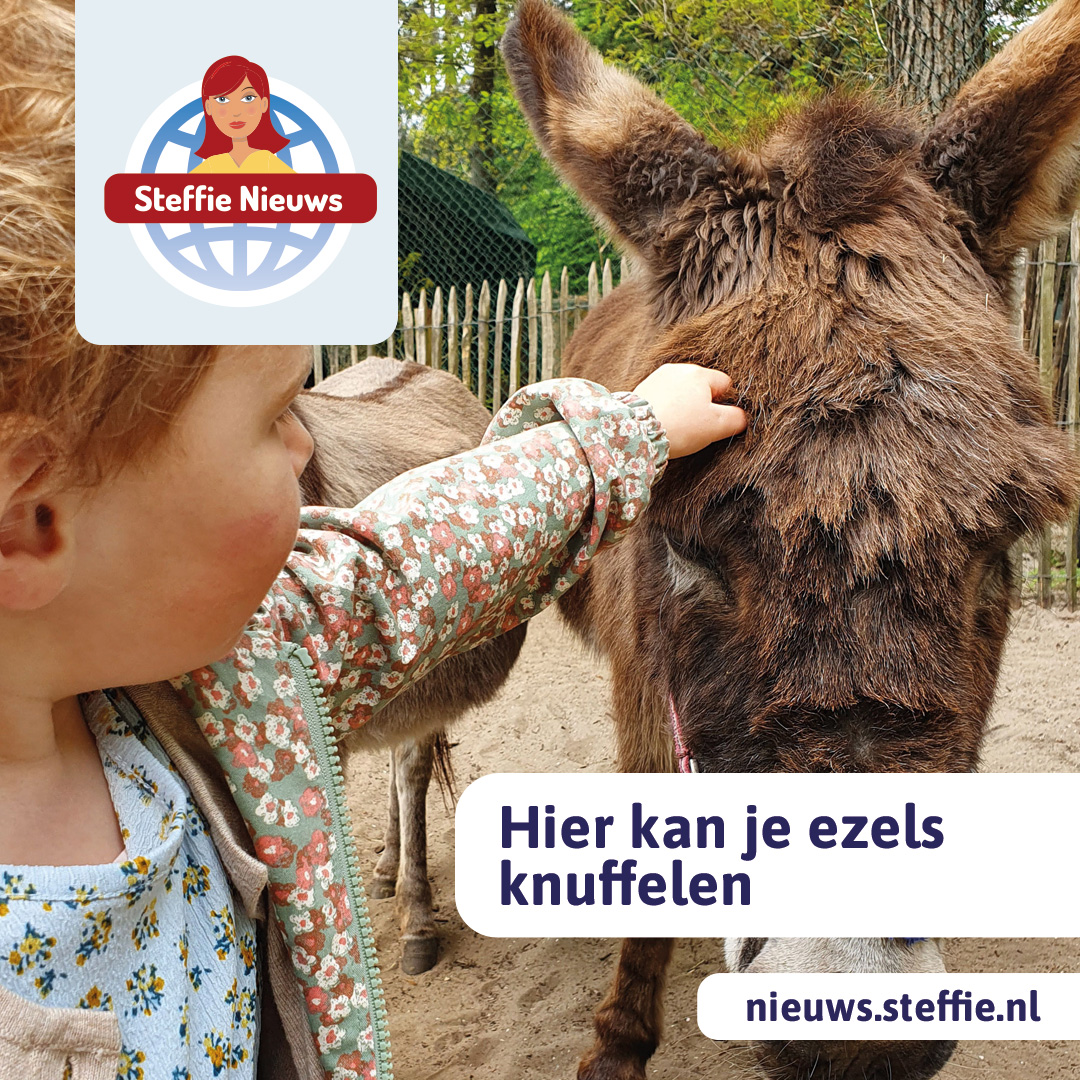 Waar kan je ezels knuffelen?