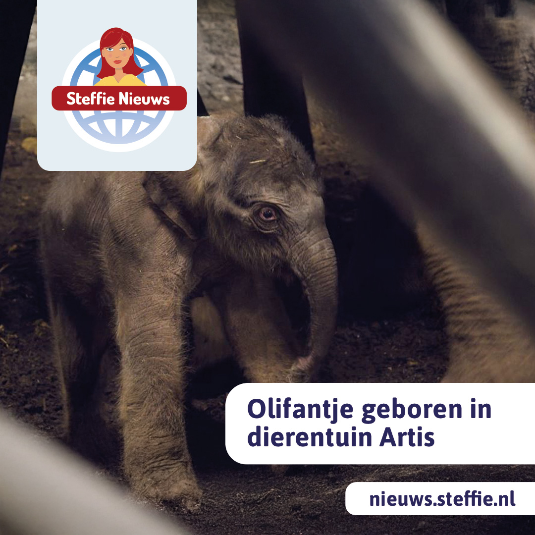 Olifantje geboren