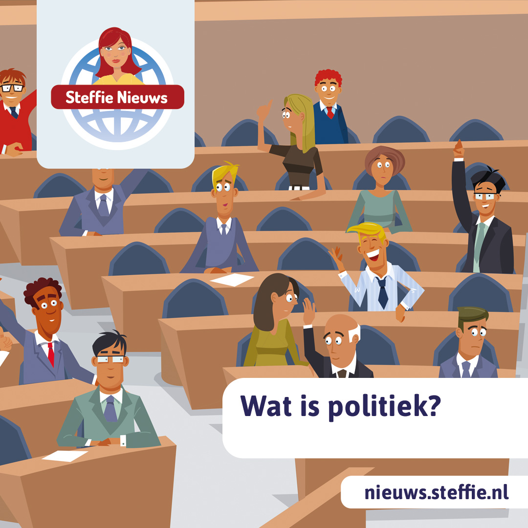 Wat is politiek?