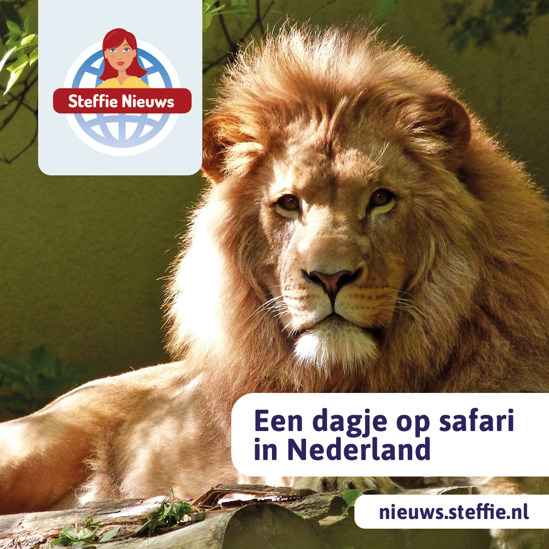 Een dagje op safari in Nederland