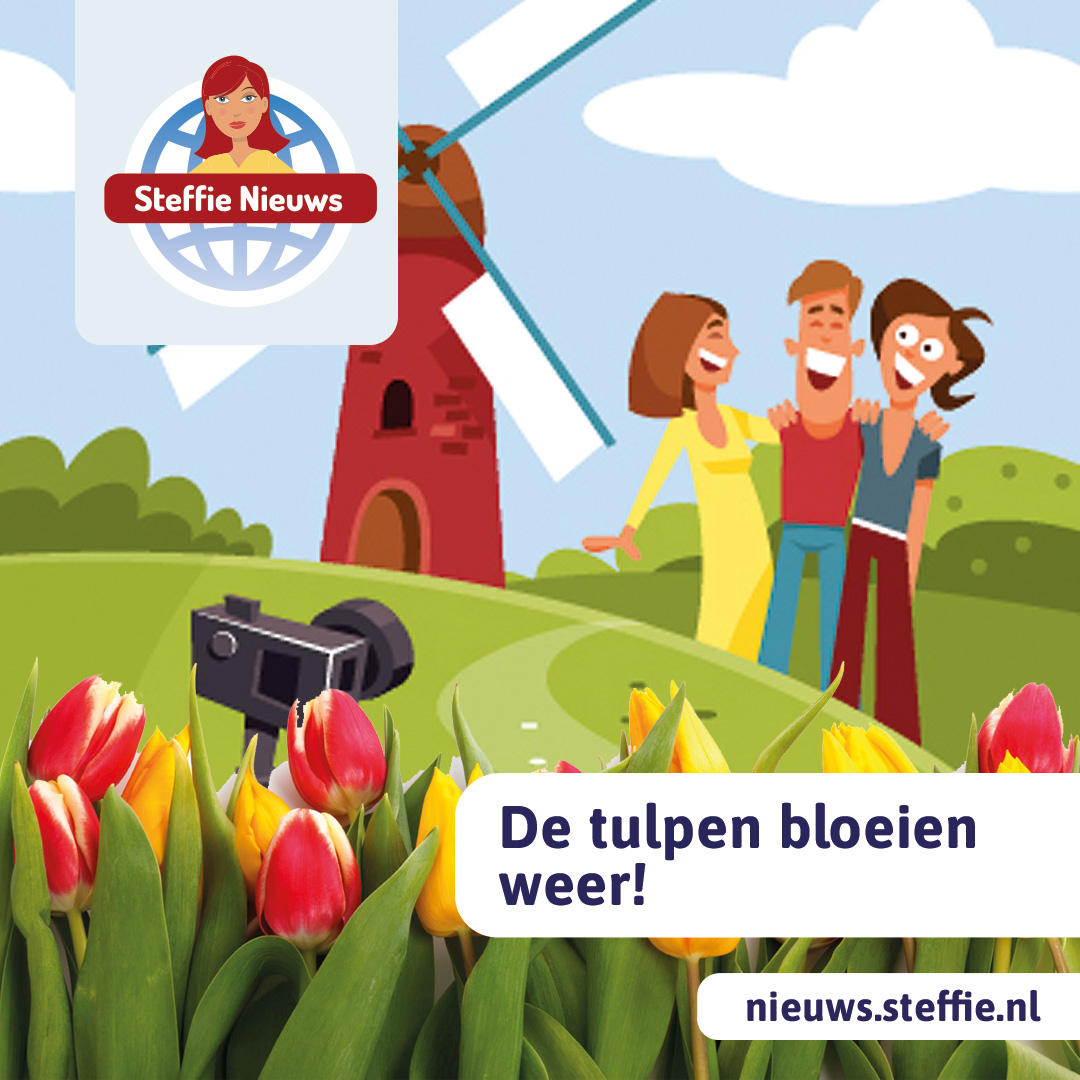 De tulpen bloeien weer!